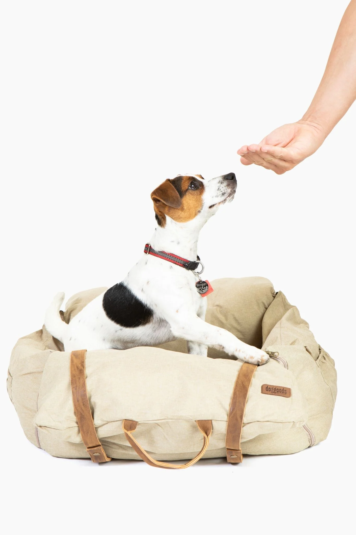 Car Bed for Dogs by DogGoods ™ - Image 36
