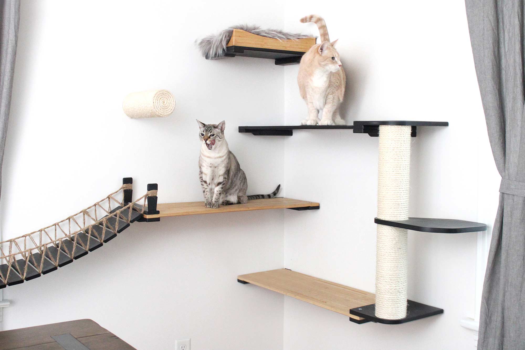 Catastrophic Creations Cat Bridge for Wall - Image 13