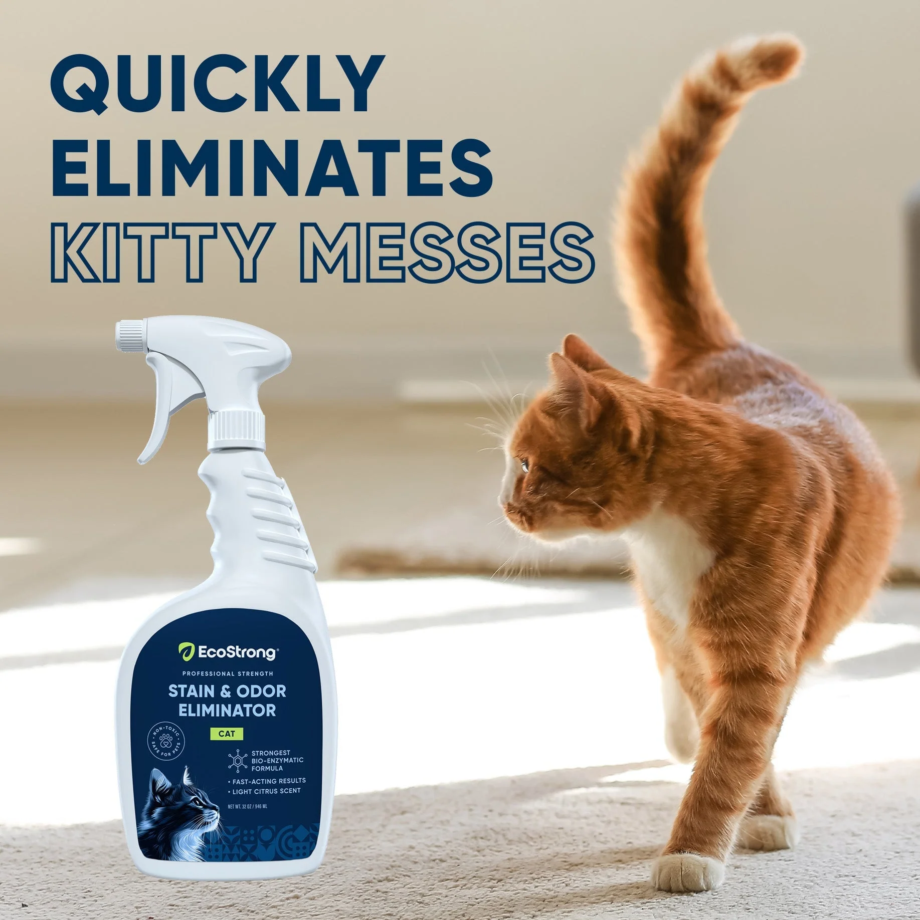 Cat Stain and Odor Eliminator - Image 12