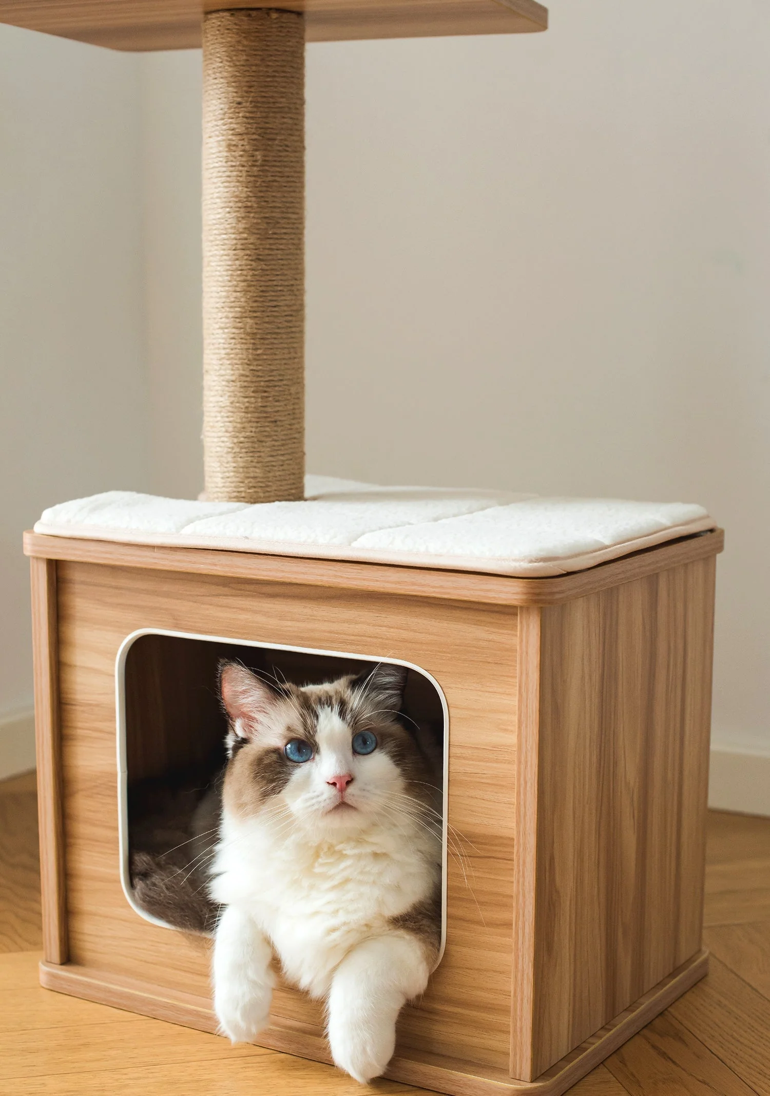 Catry Cedar Cat Tree Condo - Image 5