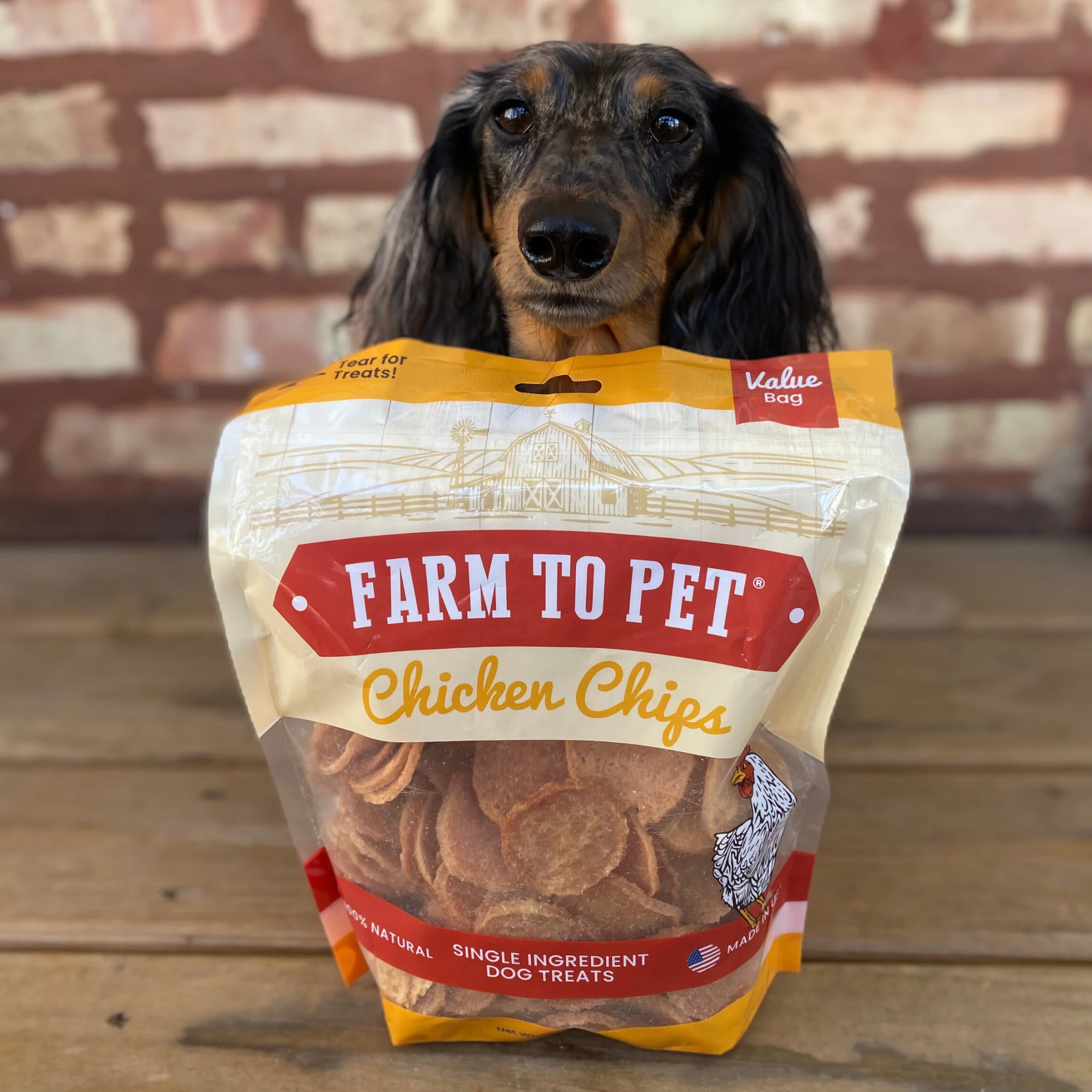 Chicken Chips for Dogs - Image 16
