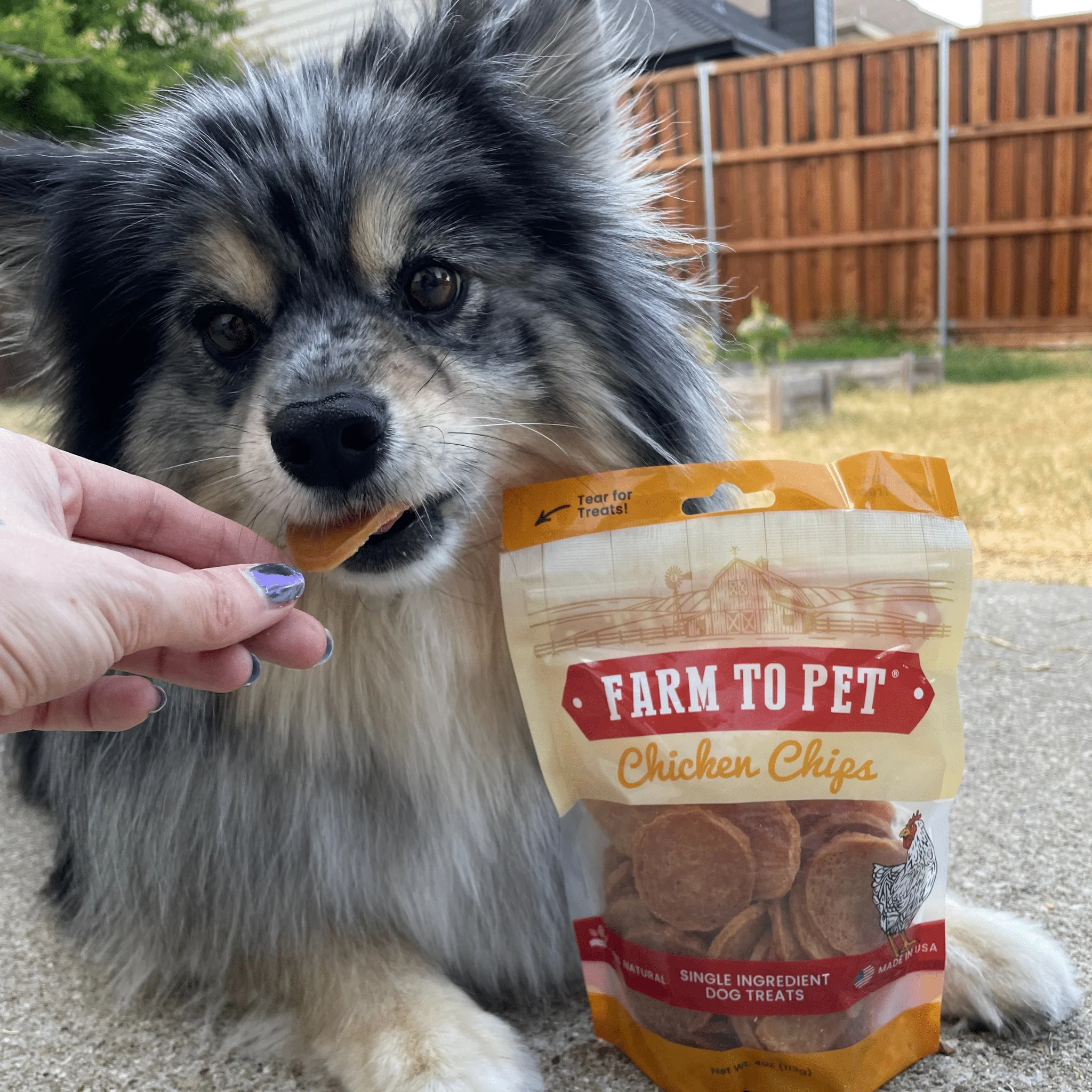 Chicken Chips for Dogs - Image 6