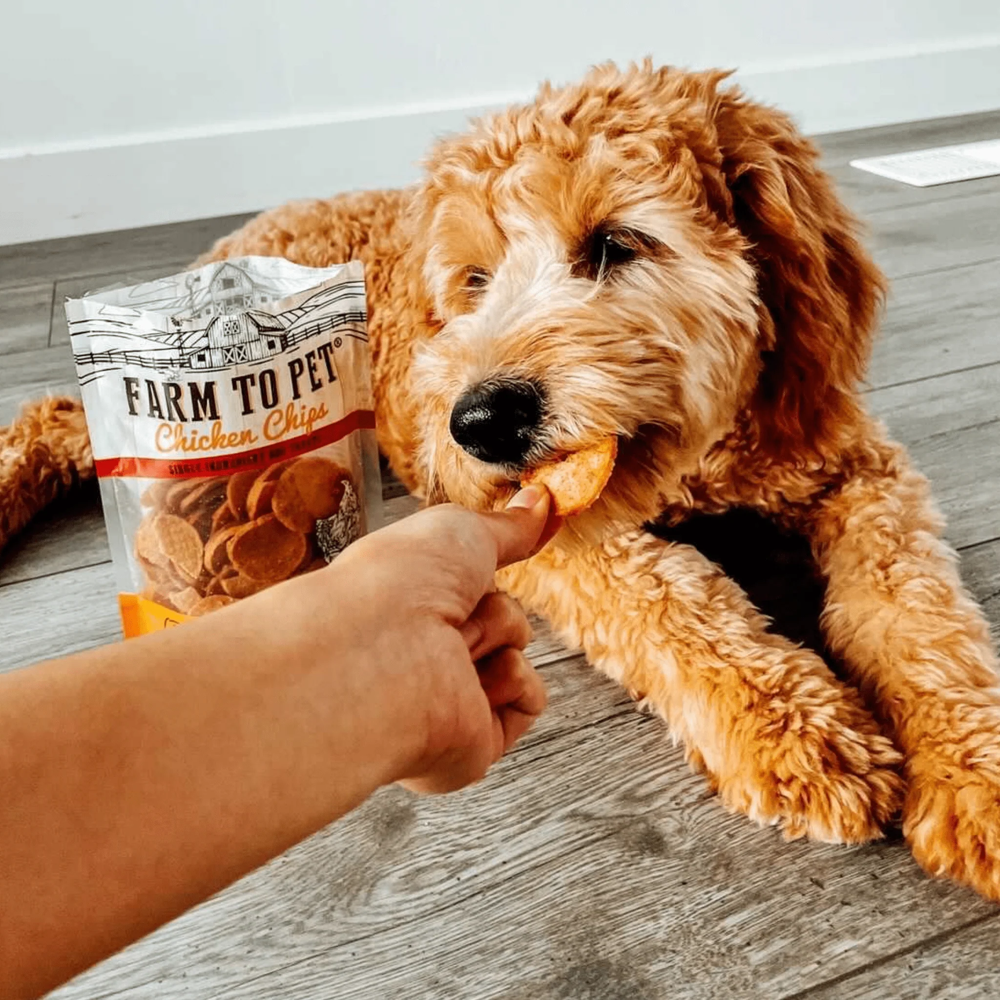 Chicken Chips for Dogs - Image 7
