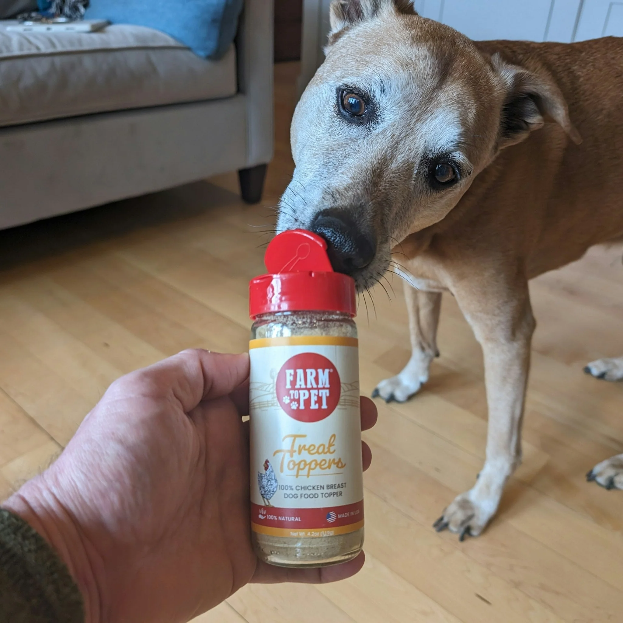 Chicken Treat Dog Food Topper - Image 5