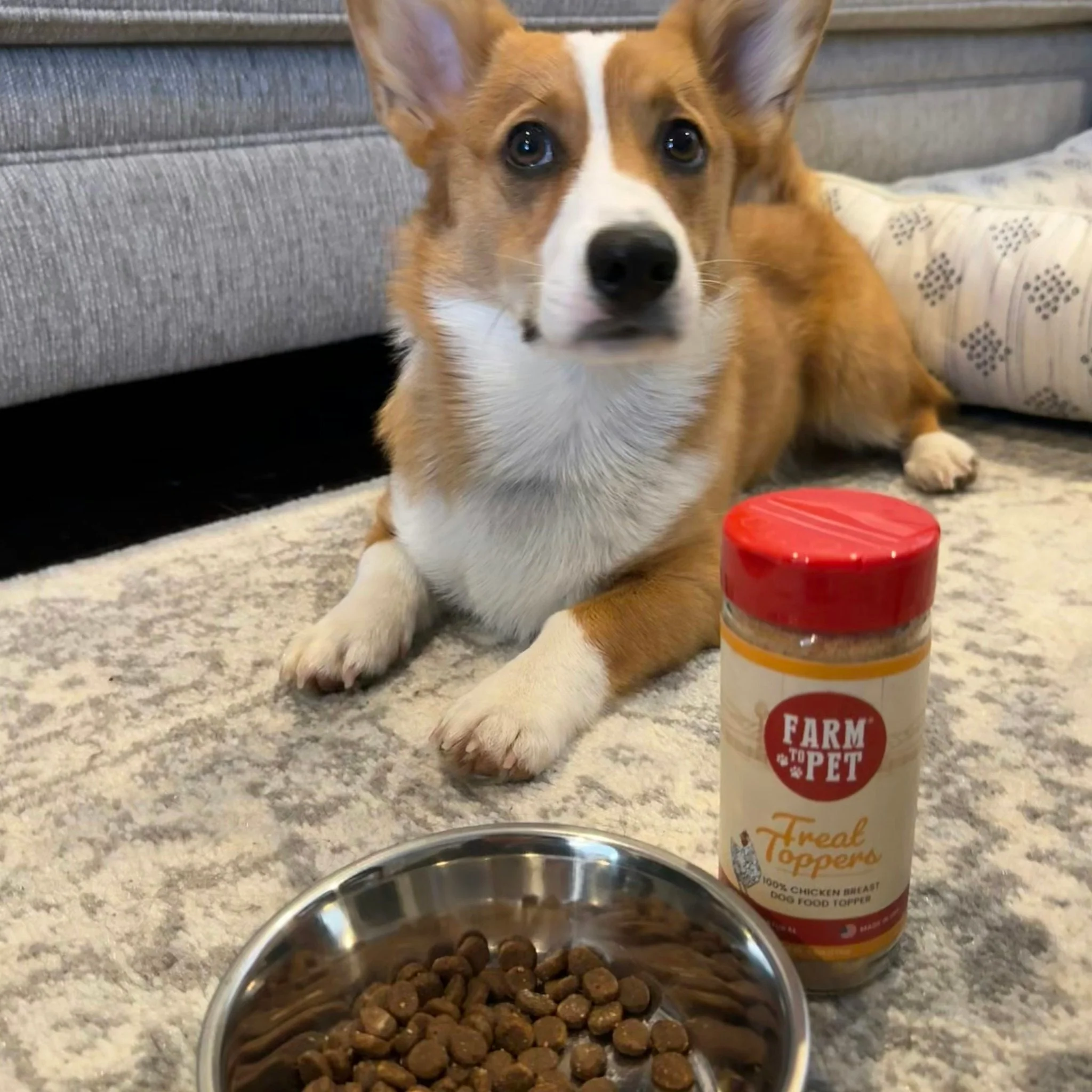 Chicken Treat Dog Food Topper - Image 6