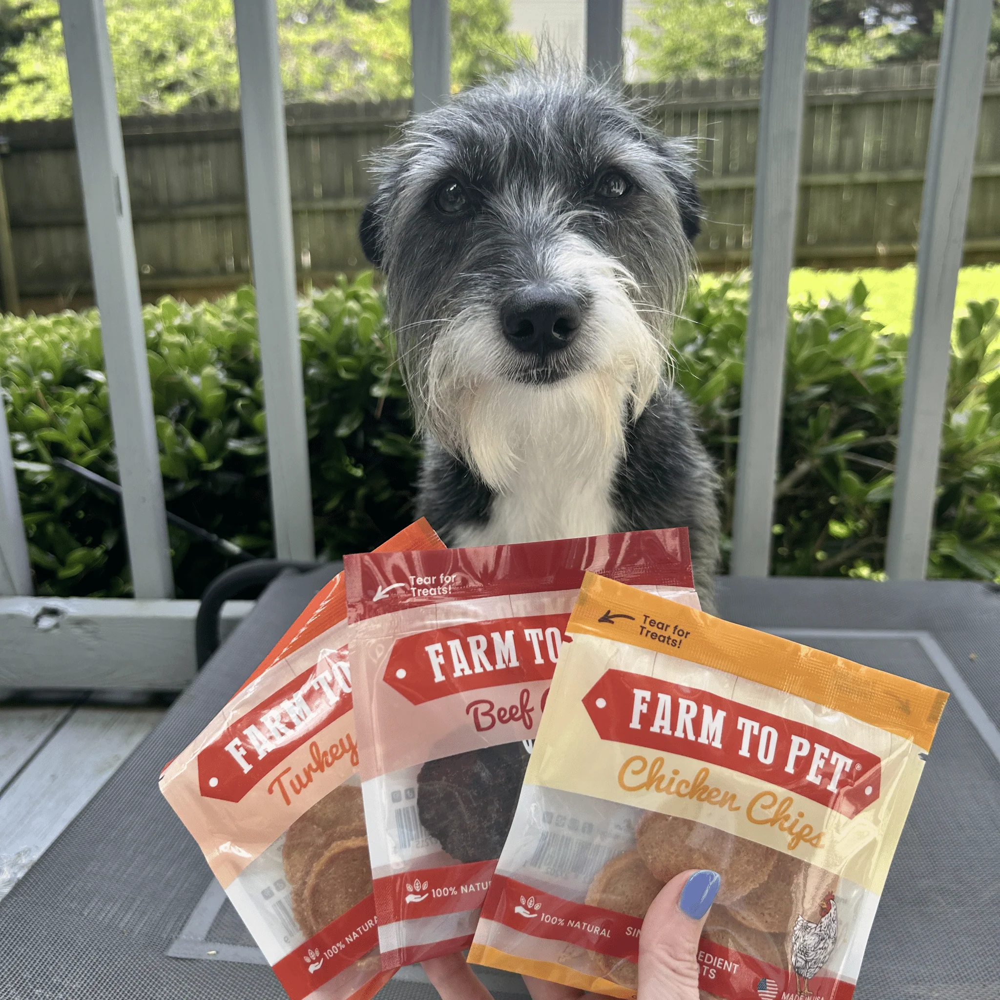 Chicken, Turkey, & Beef Snack Pack Trio - Image 5