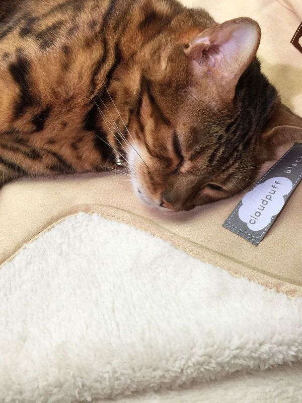 Sleepypod Cloudpuff Pet Blanket - Image 4