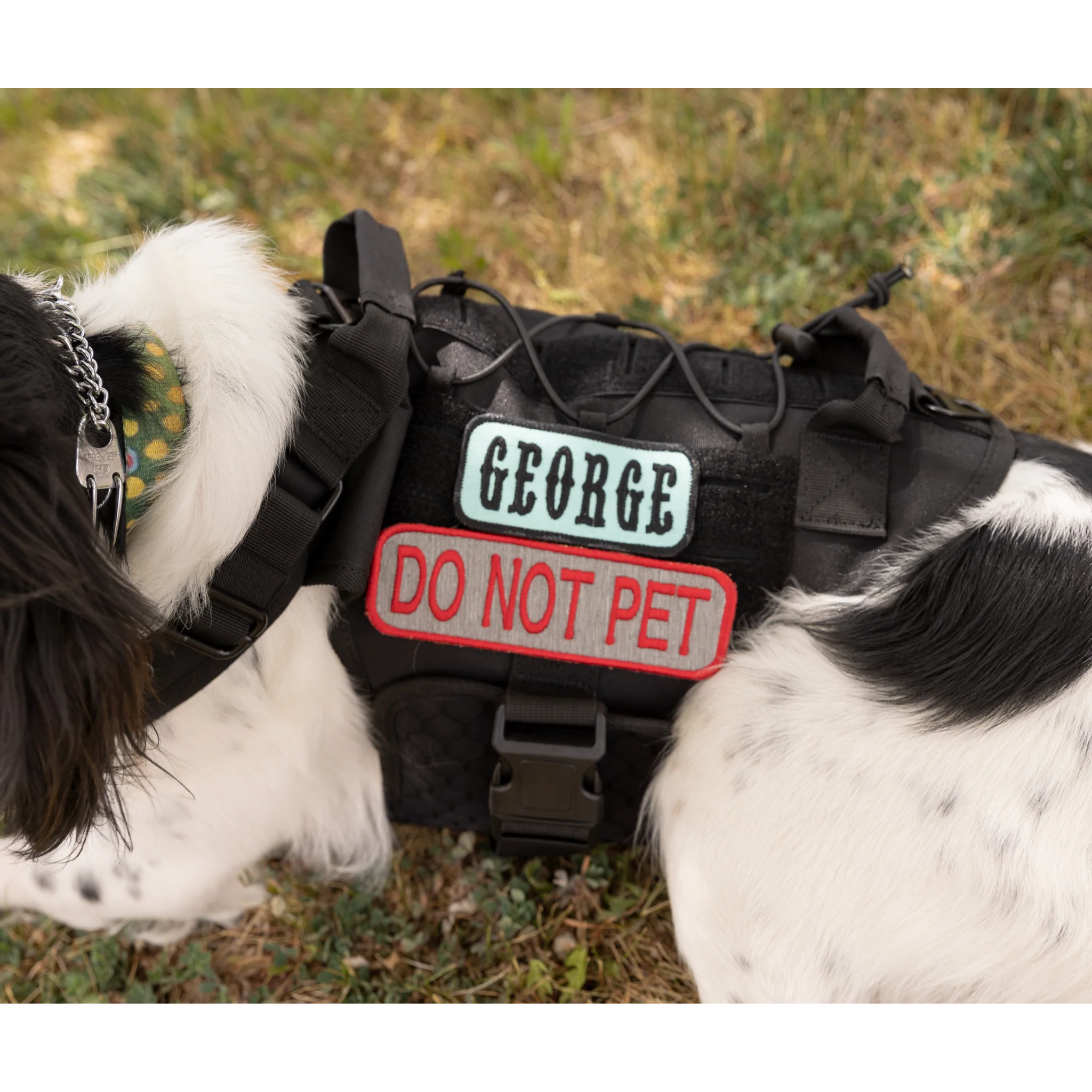 Custom K9 Mini Patch - Image 6