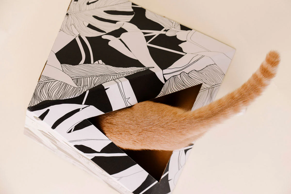 Kitty Kardboard® 'Dark Paradise' Cat Pyramid - Image 7