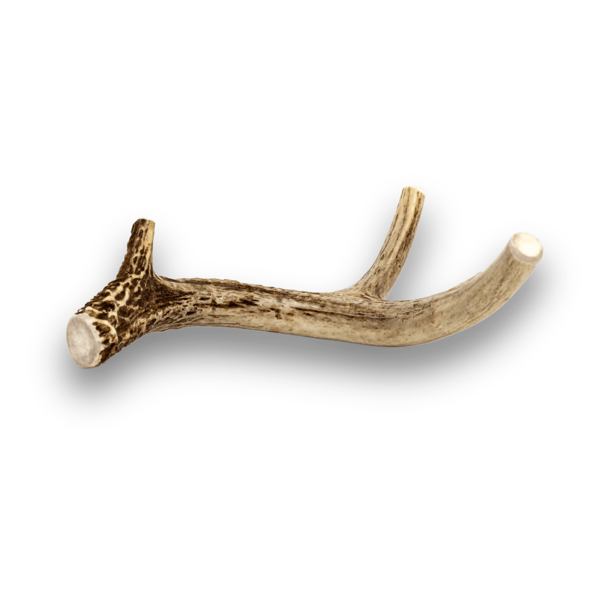 Deer Antlers for Dogs - Image 14