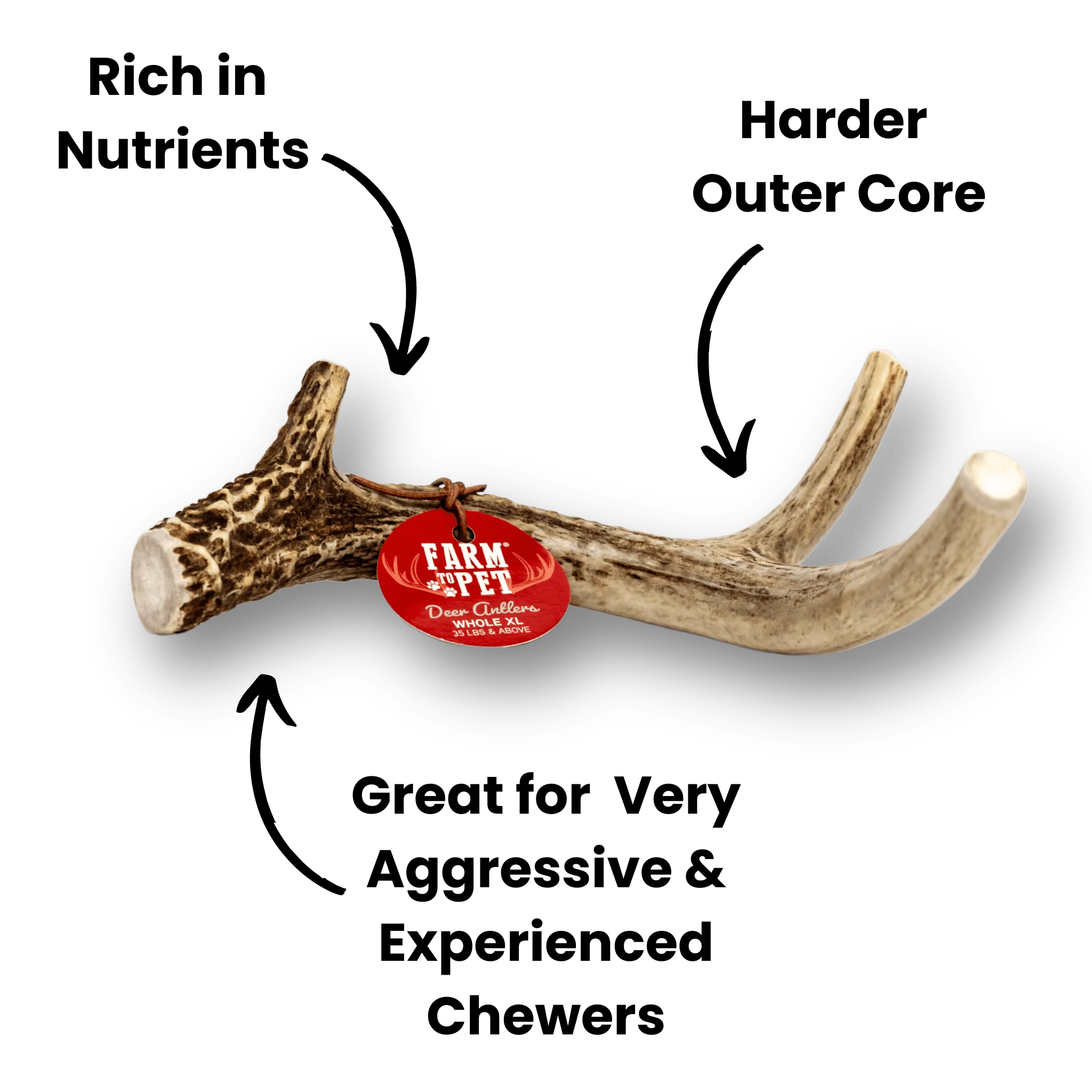 Deer Antlers for Dogs - Image 15