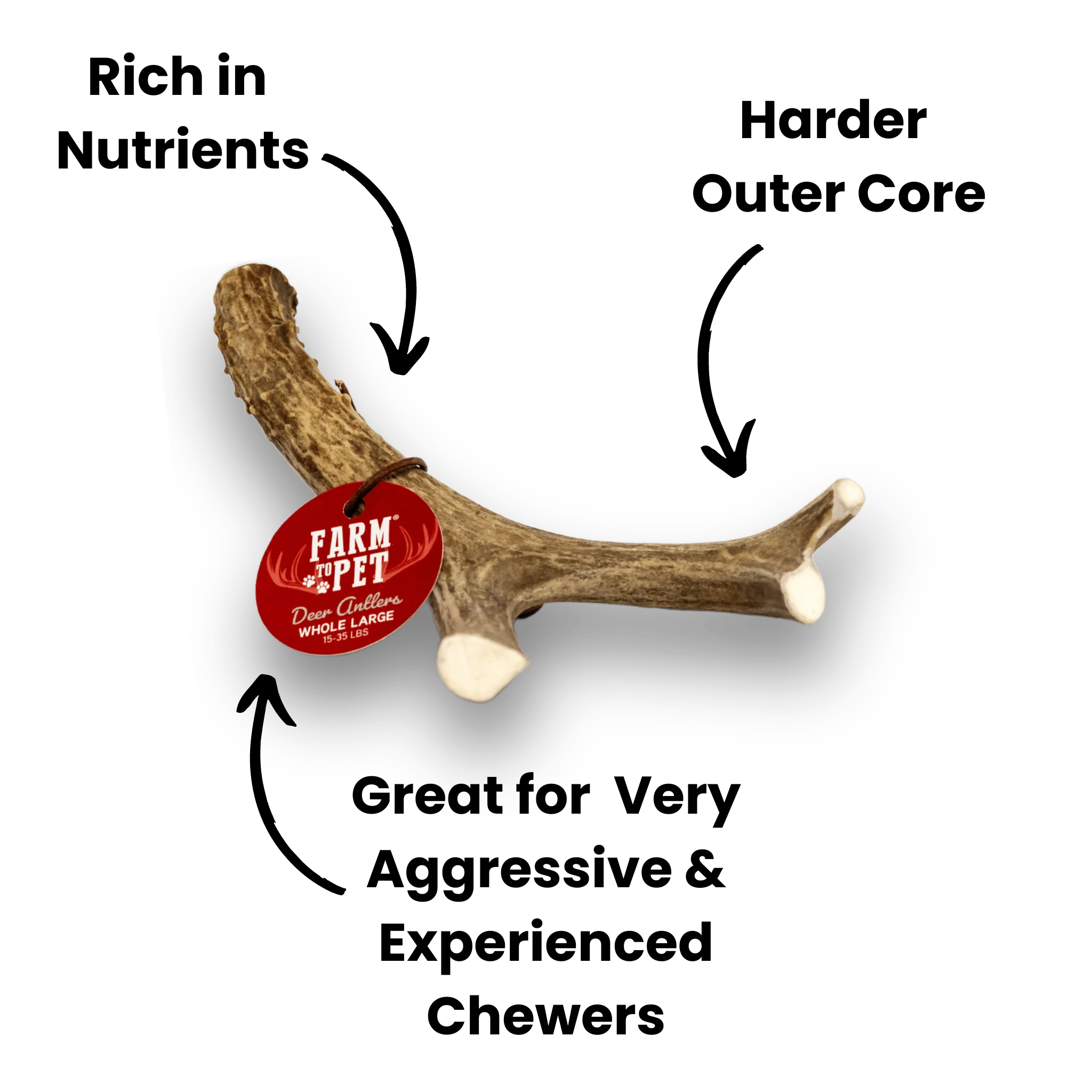 Deer Antlers for Dogs - Image 3