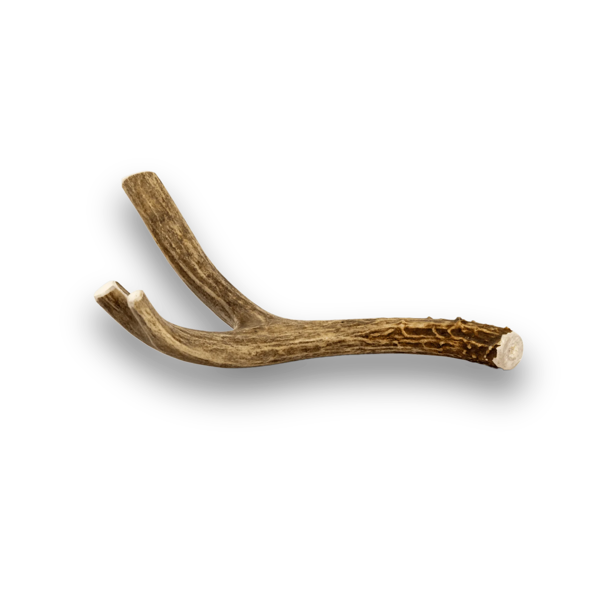 Deer Antlers for Dogs - Image 8