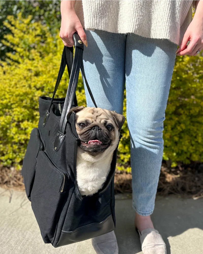DjangoTote™ Waxed Canvas Dog Carrier Bag and Pet Travel Tote - Image 23