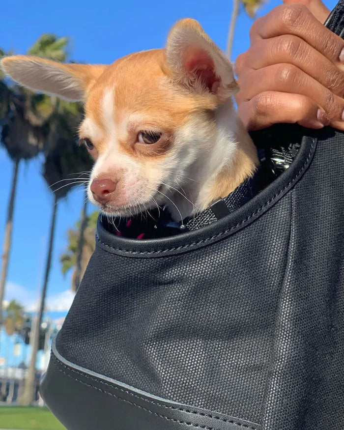 DjangoTote™ Waxed Canvas Dog Carrier Bag and Pet Travel Tote - Image 24