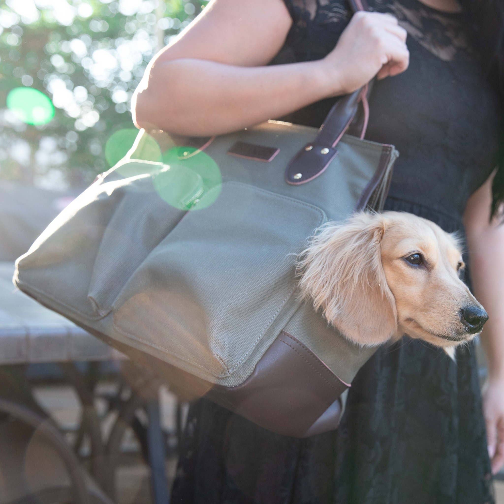 DjangoTote™ Waxed Canvas Dog Carrier Bag and Pet Travel Tote - Image 7