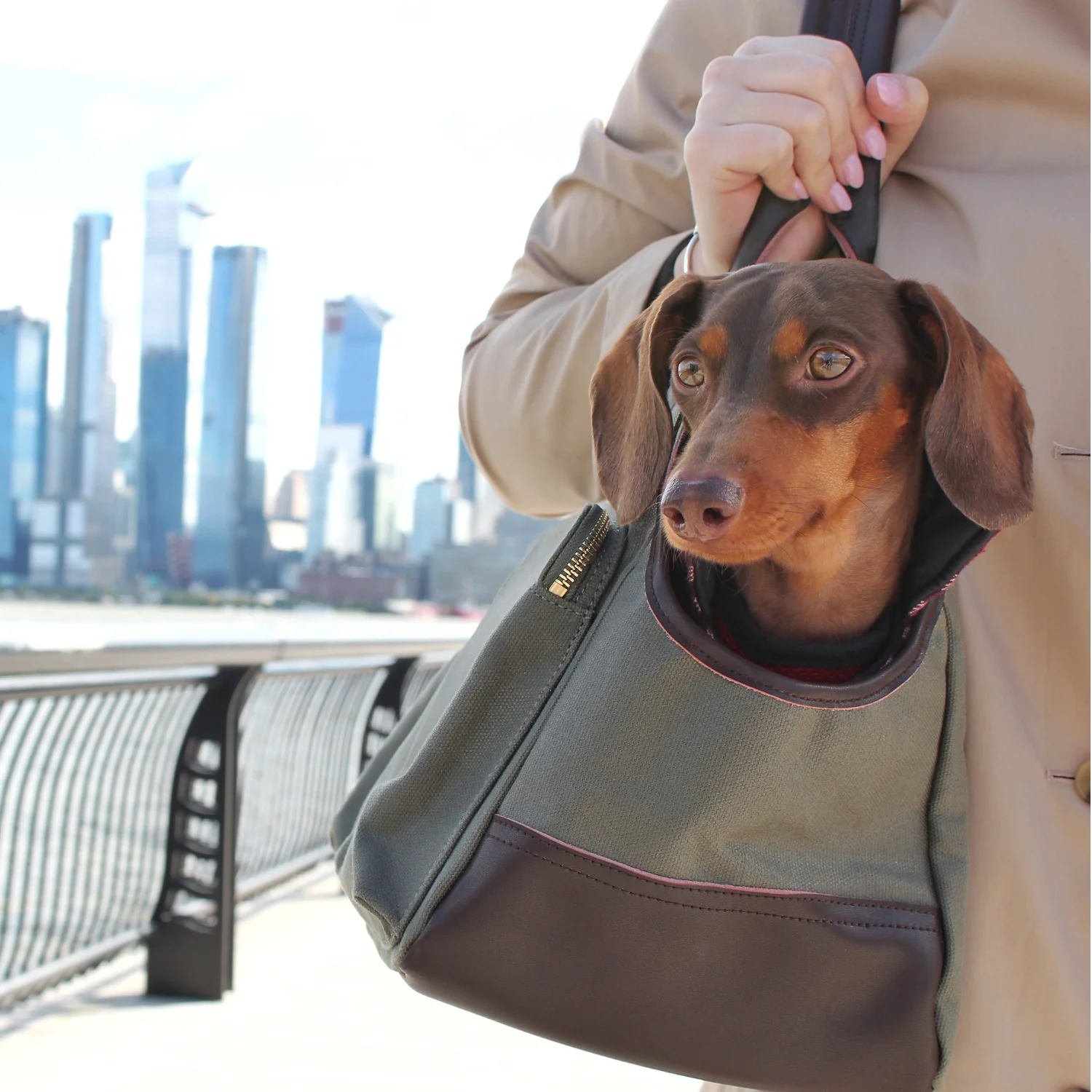 DjangoTote™ Waxed Canvas Dog Carrier Bag and Pet Travel Tote - Image 9