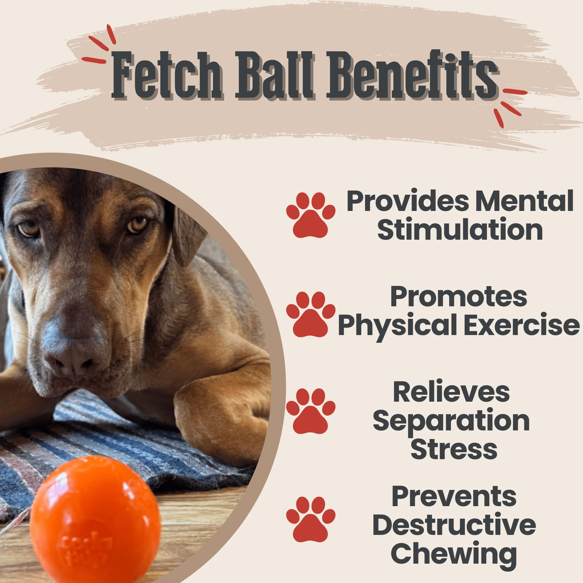 Dog Fetch Balls - Image 10