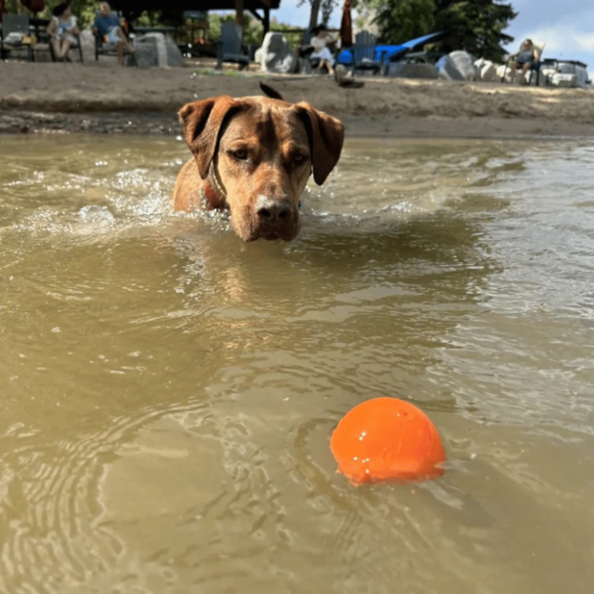 Dog Fetch Balls - Image 13