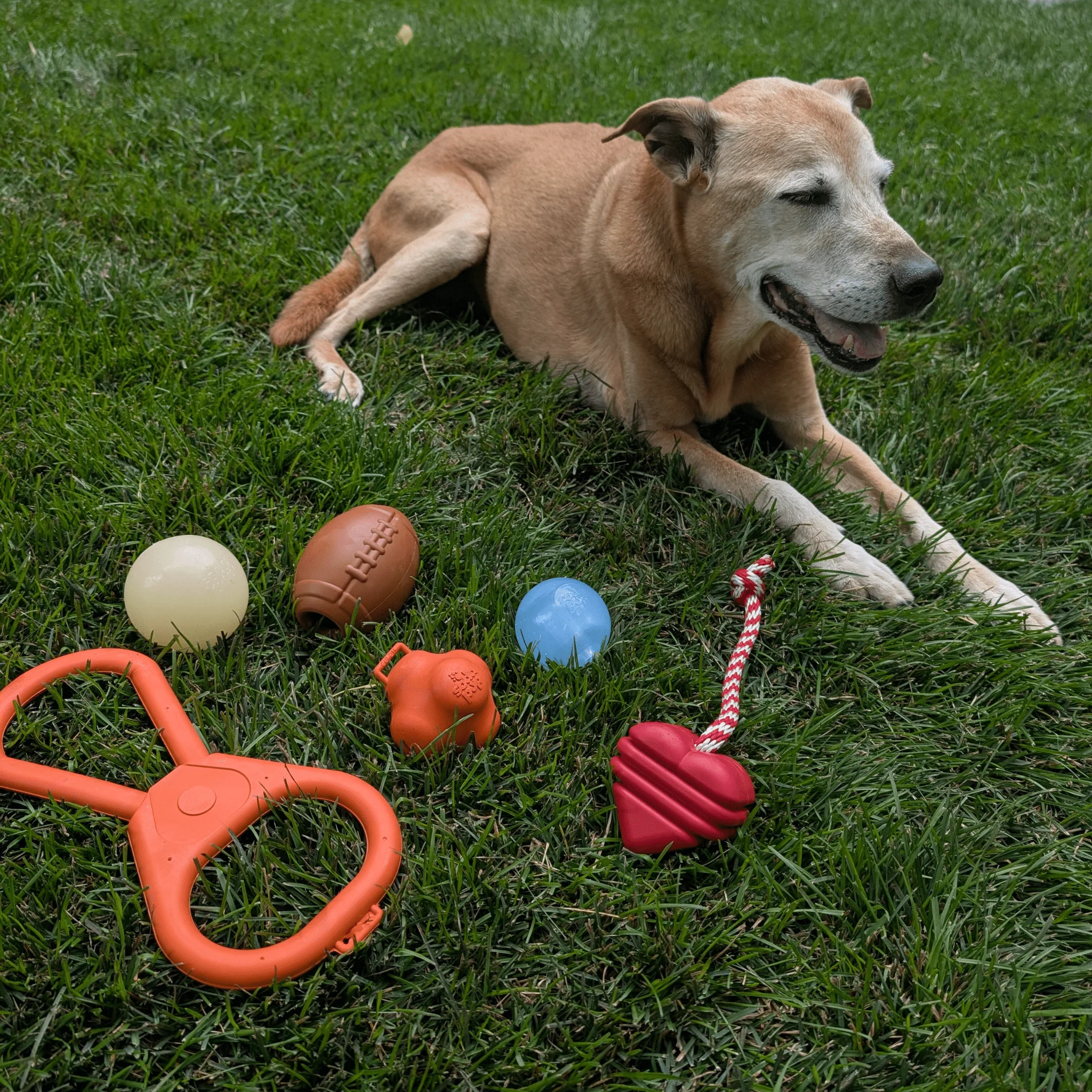 Dog Fetch Balls - Image 19