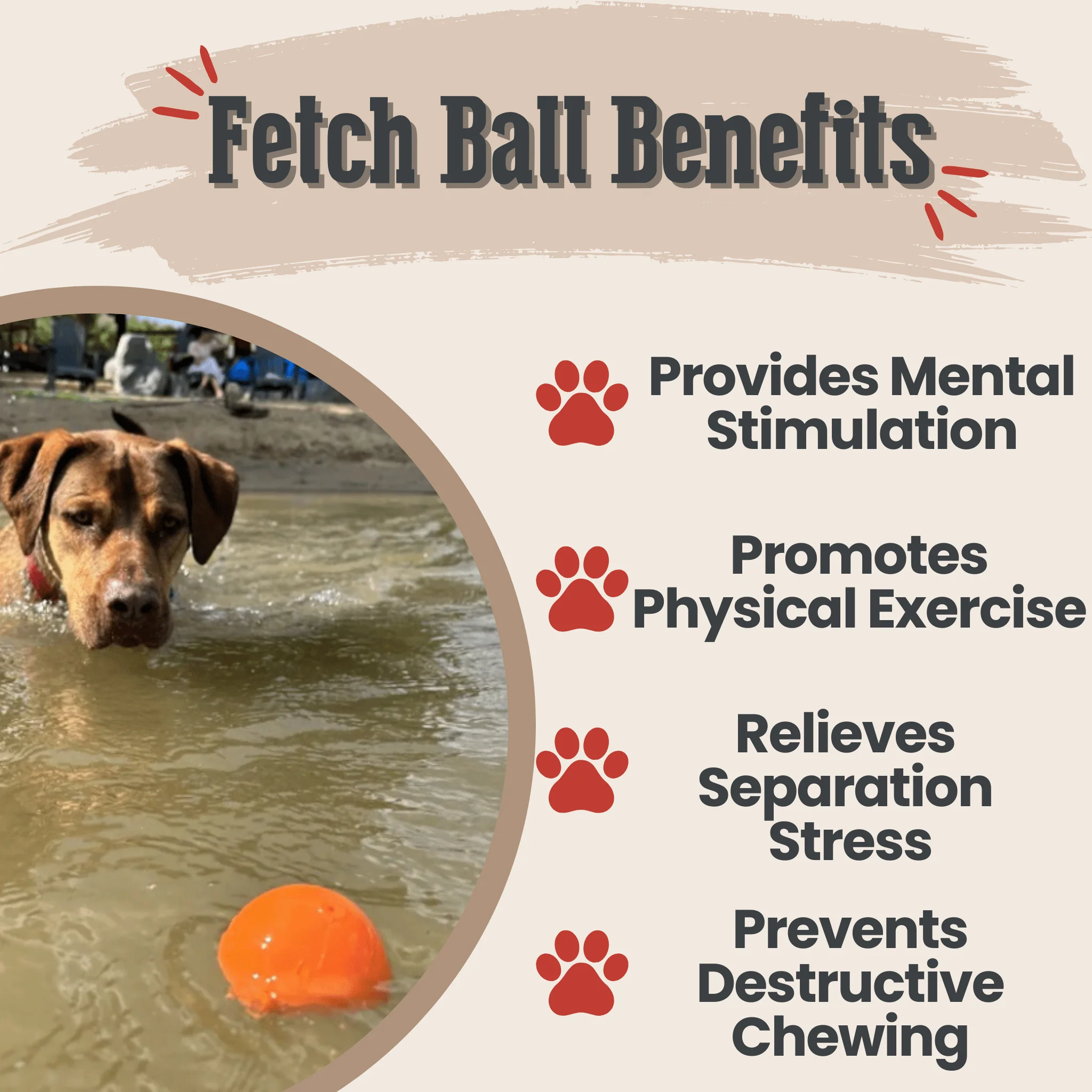 Dog Fetch Balls - Image 4