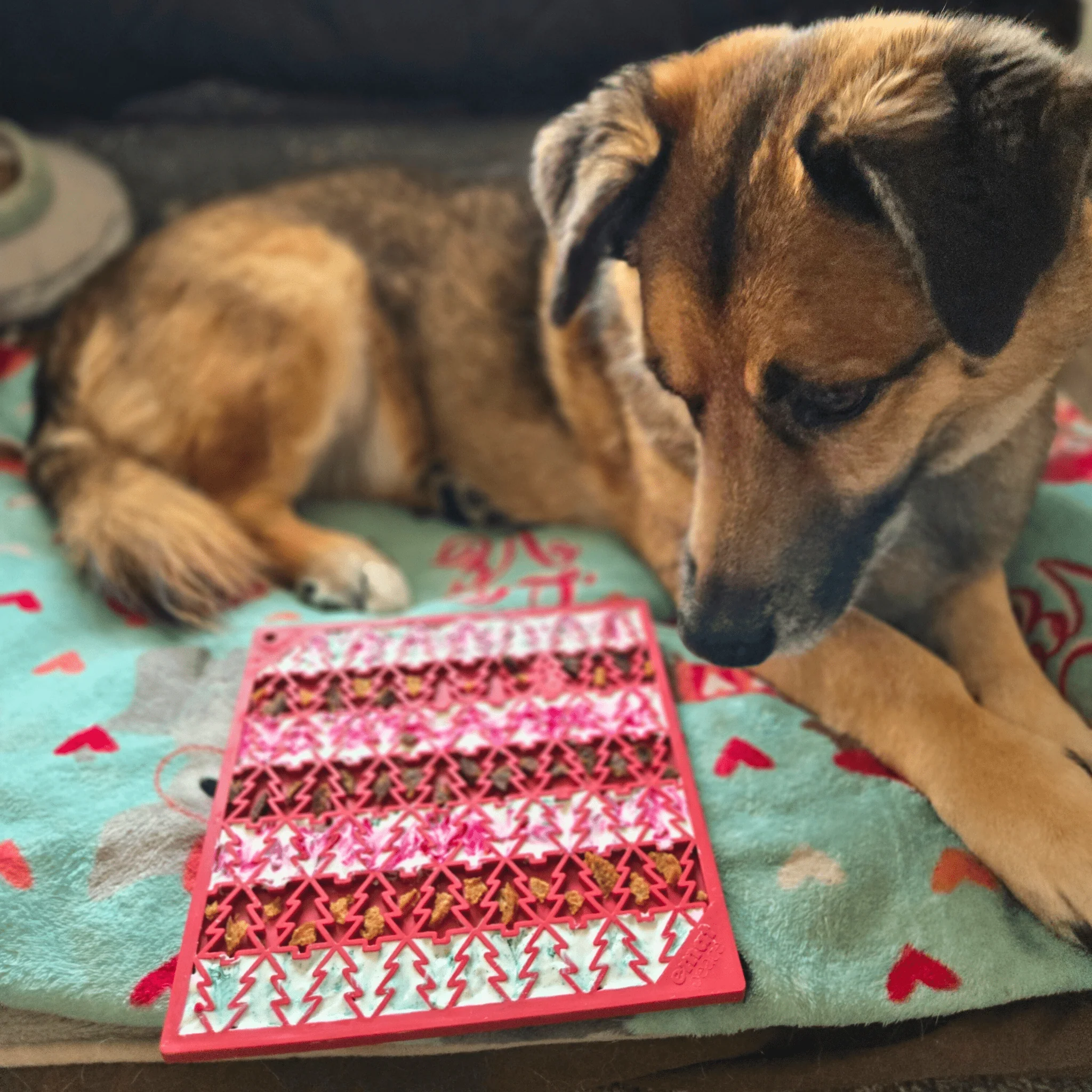 Dog Lick Mats - Image 5