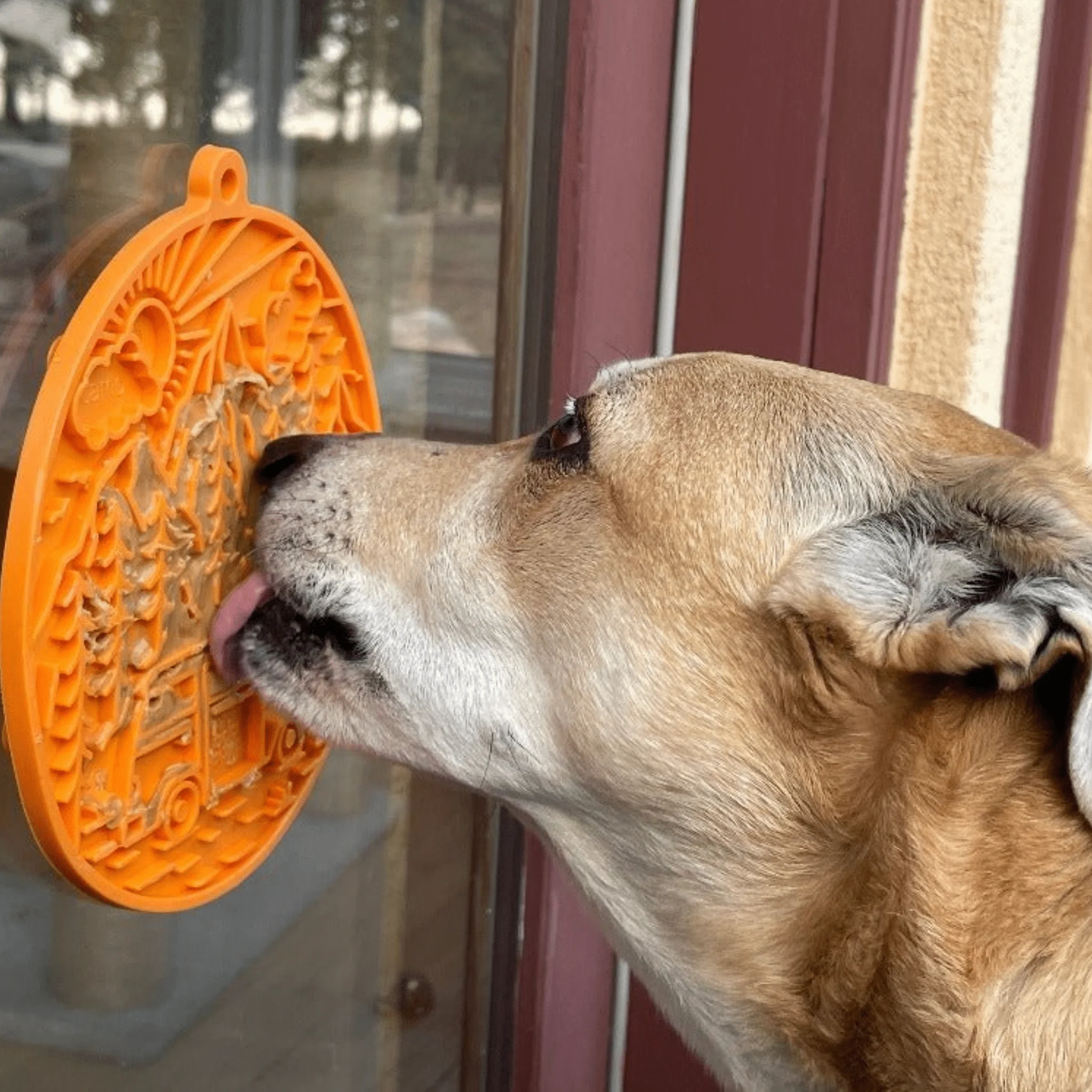 Dog Lick Mats with Suction Cups - Image 13