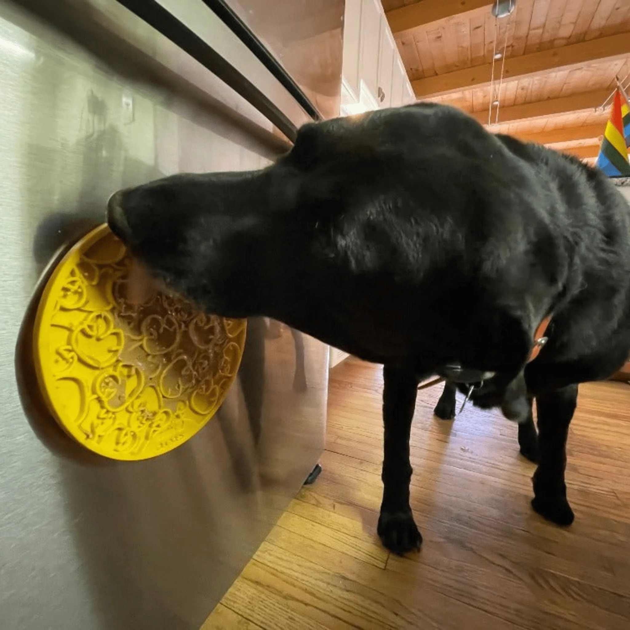 Dog Lick Mats with Suction Cups - Image 6