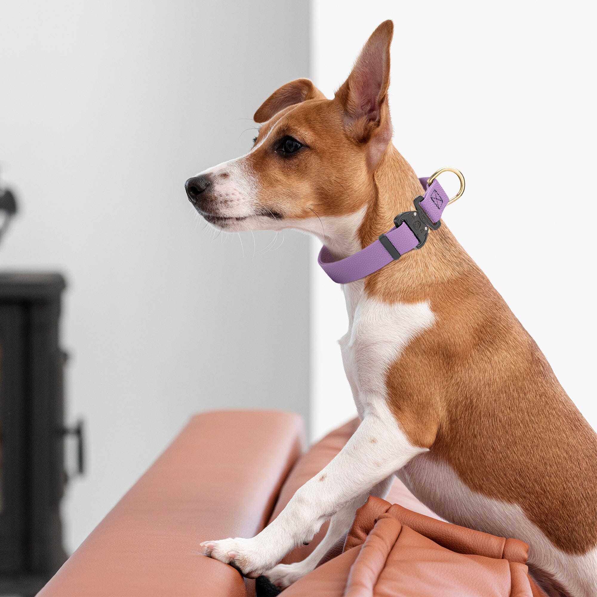 Dogline Pebble Emboss BioThane Dog Collar with Heavy Duty Cobra Buckle - Image 4
