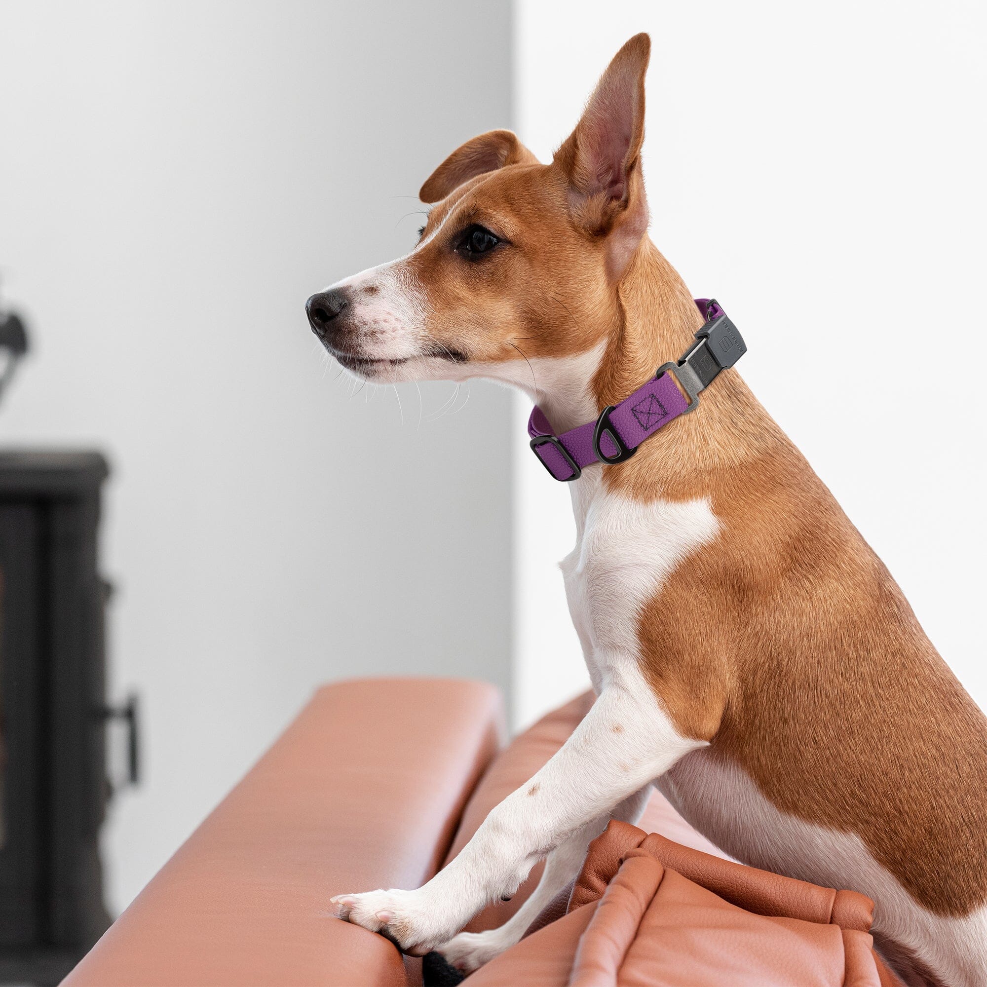 Dogline Pebble Emboss Biothane Dog Collar with Herm Sprenger Stainless Steel ClicLock Buckle - Image 3
