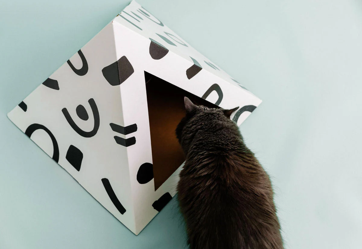 Kitty Kardboard® 'Doodle' Cat Pyramid - Image 4