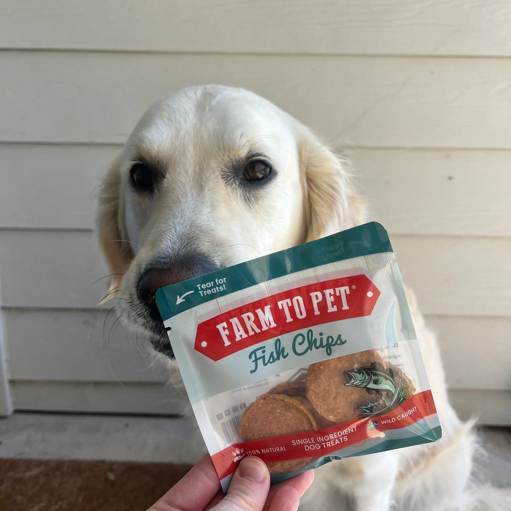 Fish Chips Snack Pack Bundles | Dog Treats for Training & Travel - Image 5