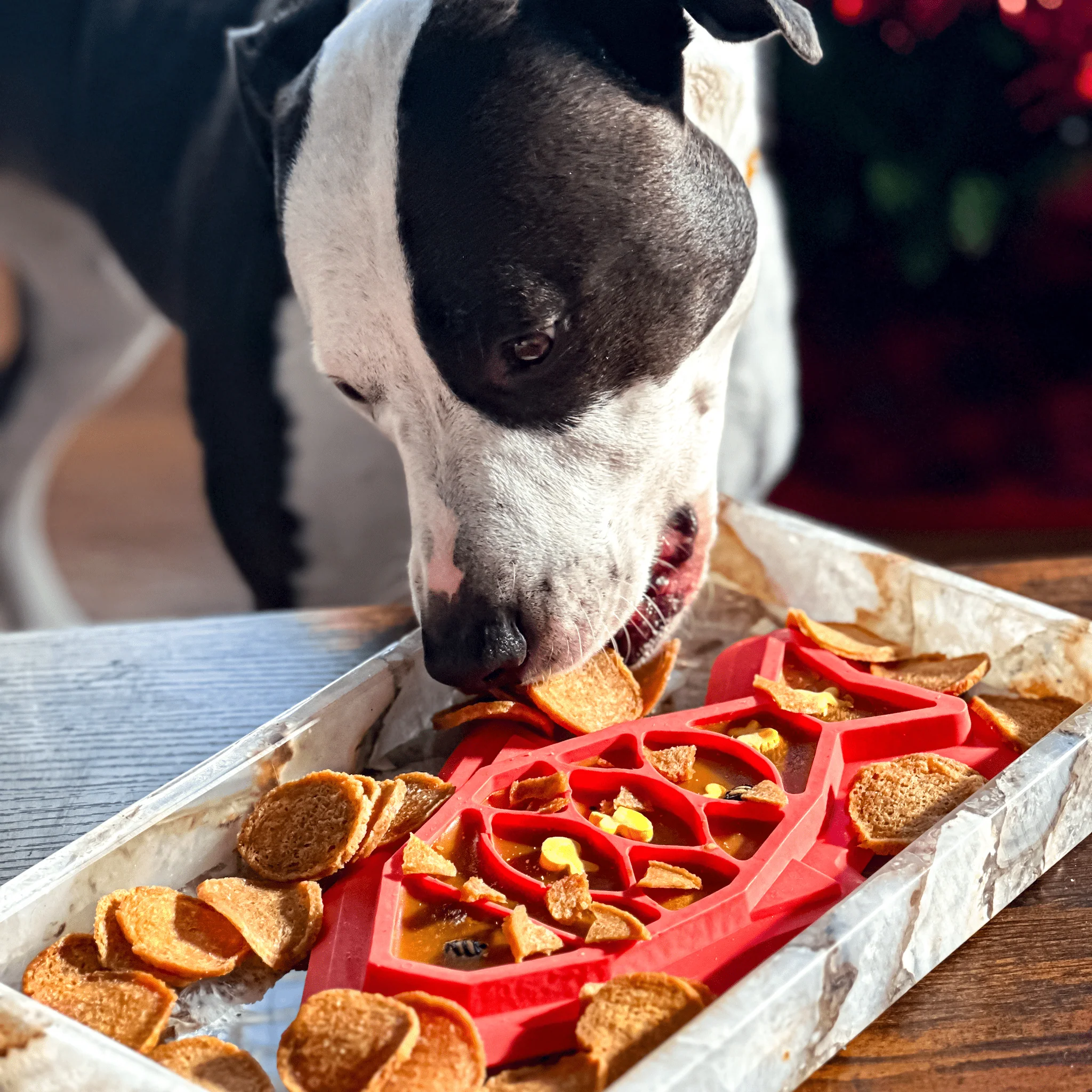 Fish Chips Snack Pack Bundles | Dog Treats for Training & Travel - Image 6