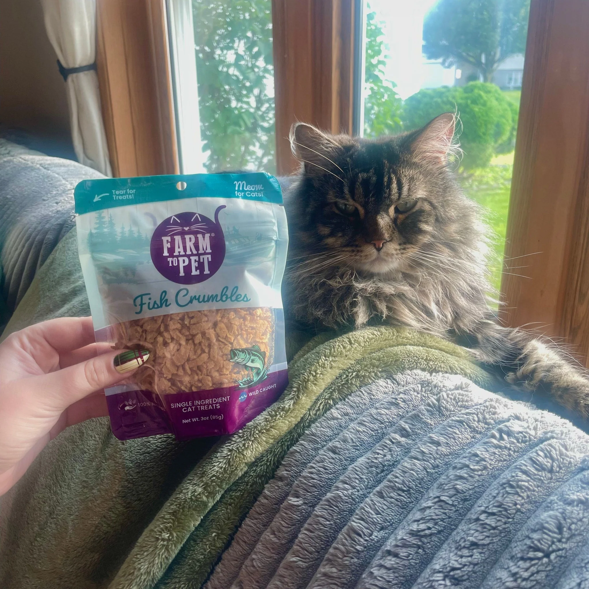 Fish Crumbles for Cats | 100% Protein Cat Treats - Image 6