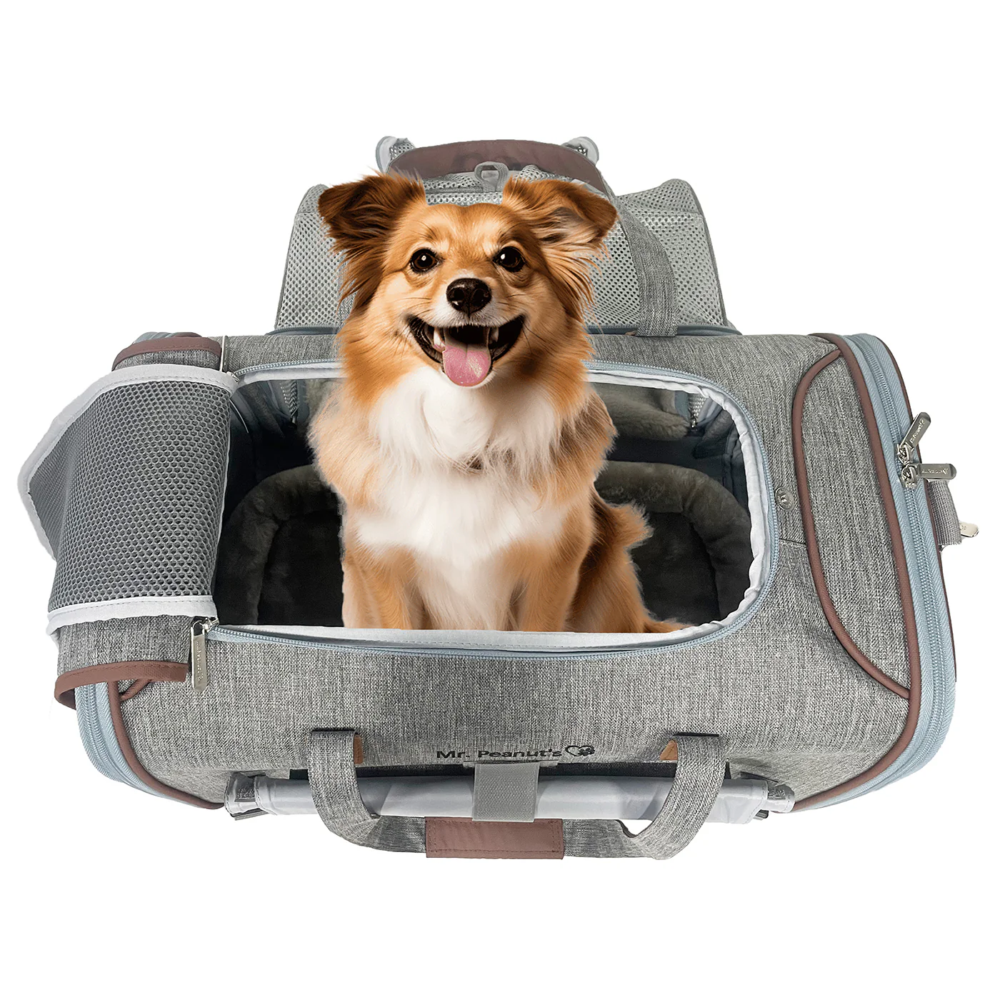 Mr. Peanut's Gold Series Big Apple XL Expandable Pet Carrier V3.0 - Image 18