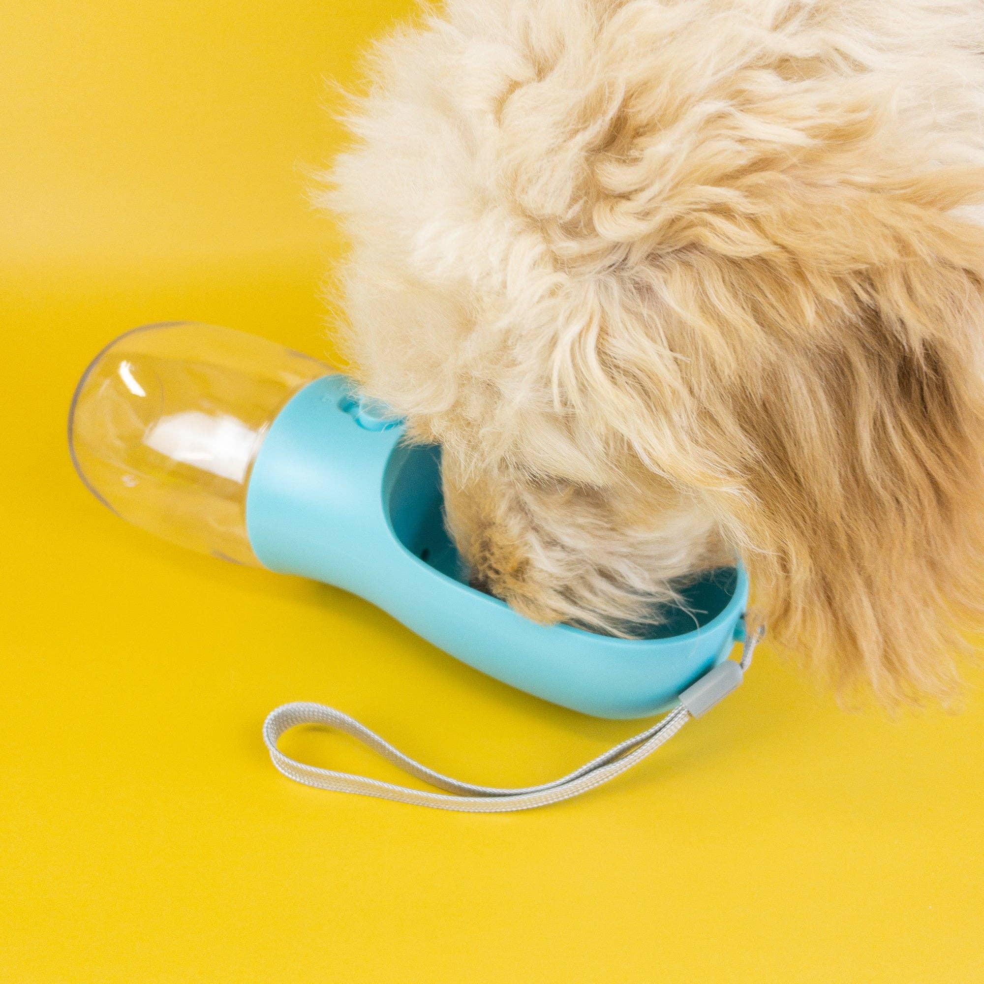 Green Waves Pet Water Bottle - Image 7
