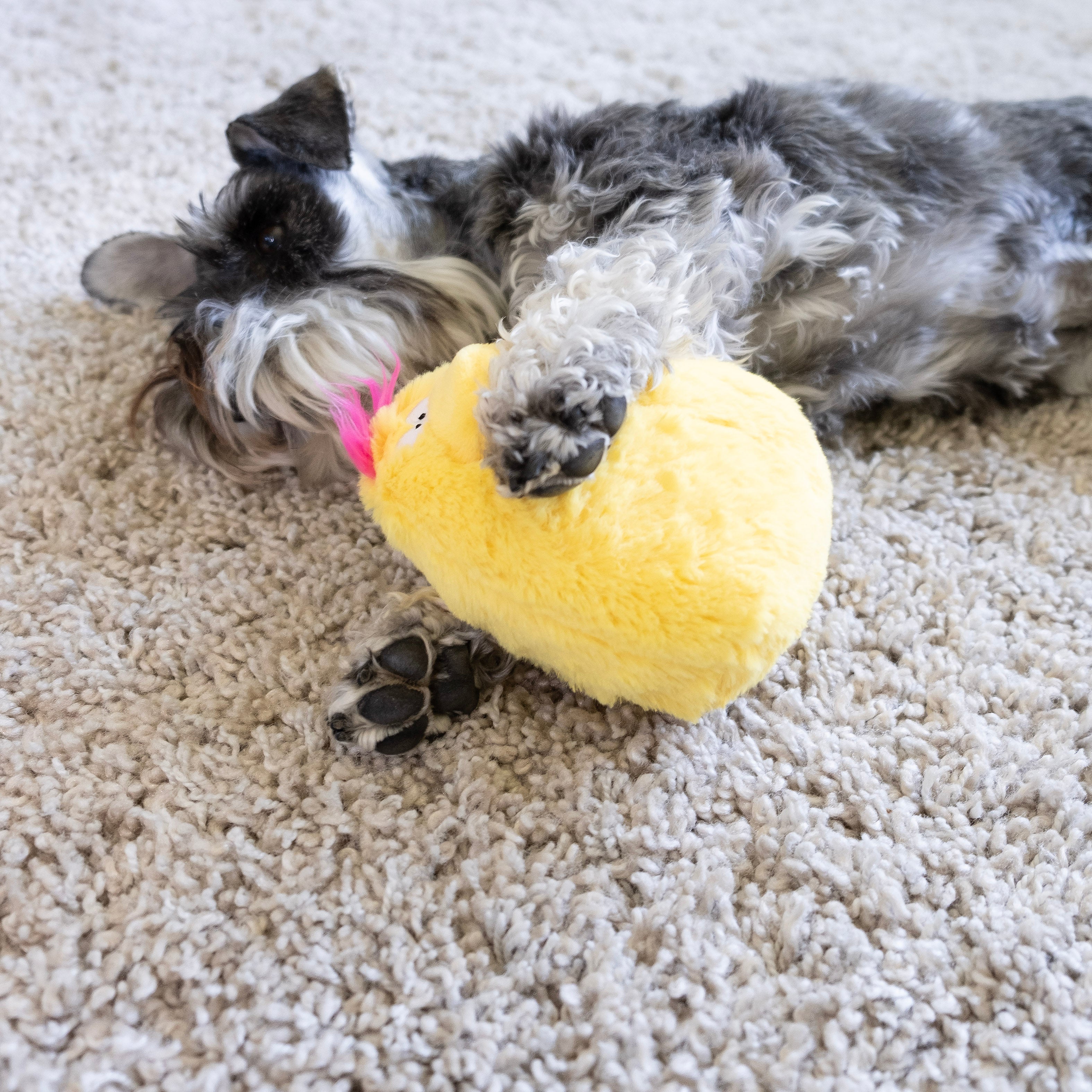 Gumdropimalz: Fun Dog Toy Grunters by DogGoods ™ - Image 26