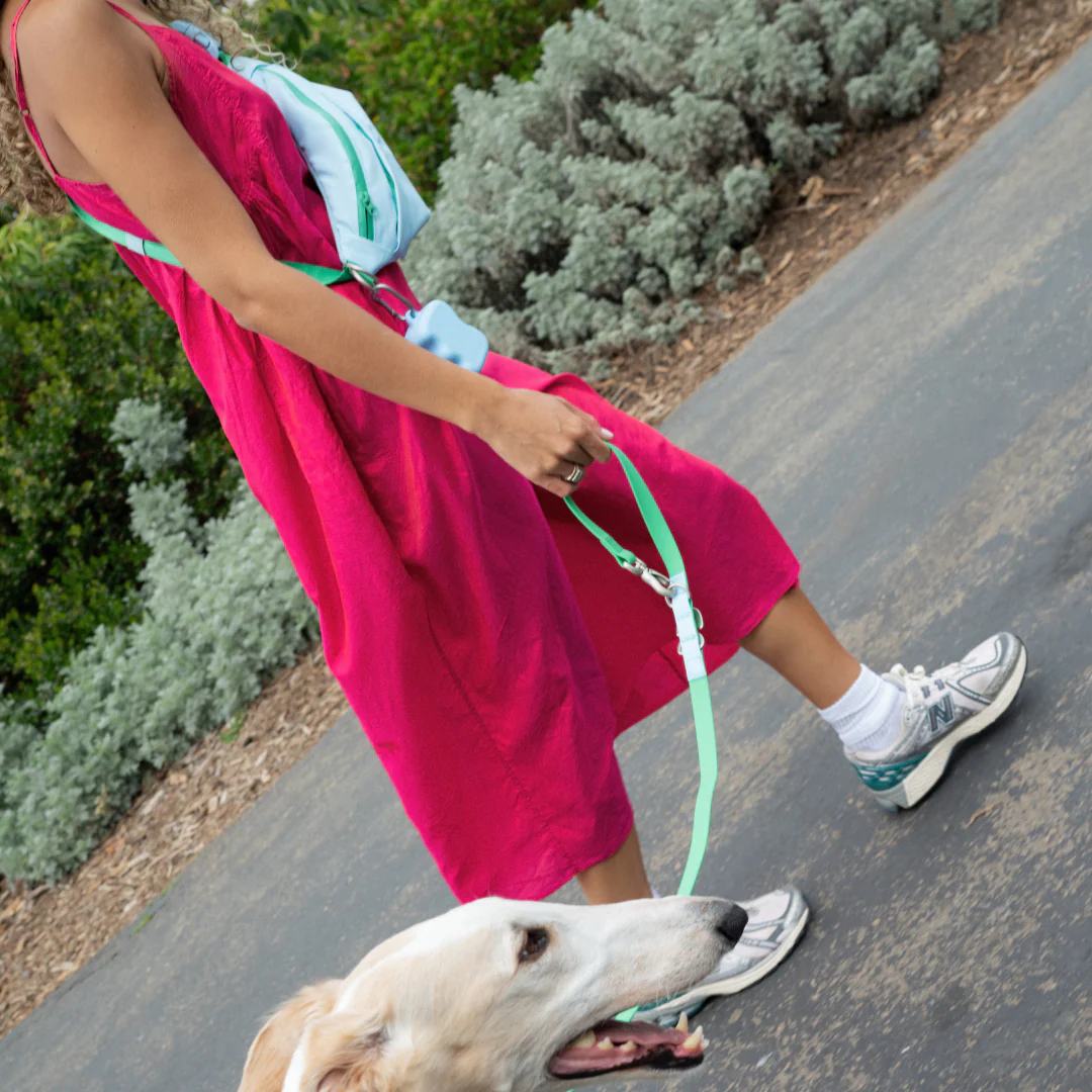 Hands-Free Dog Walking Bag - Image 7