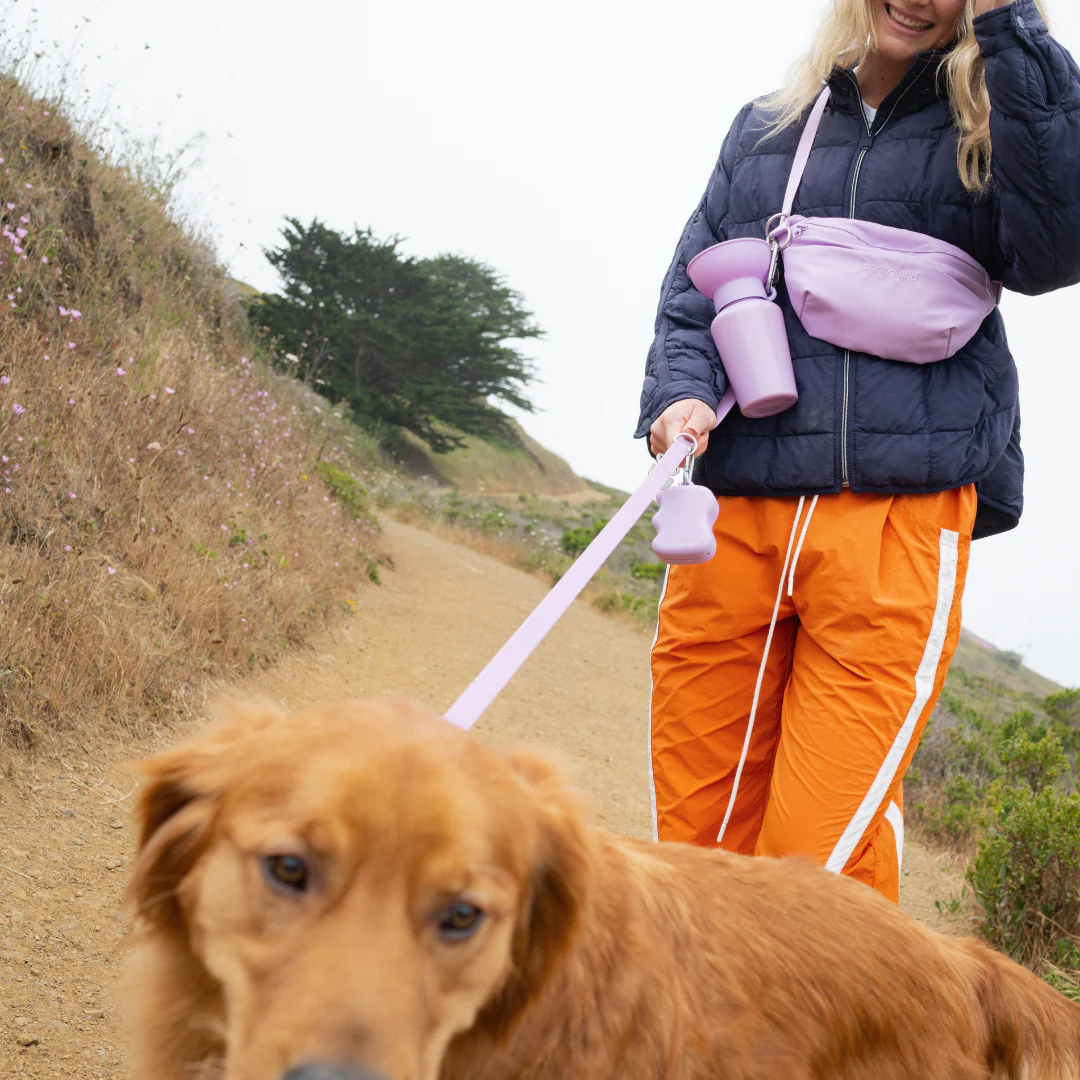 Hands-Free Dog Walking Bag with 3.25ft Leash - Image 17