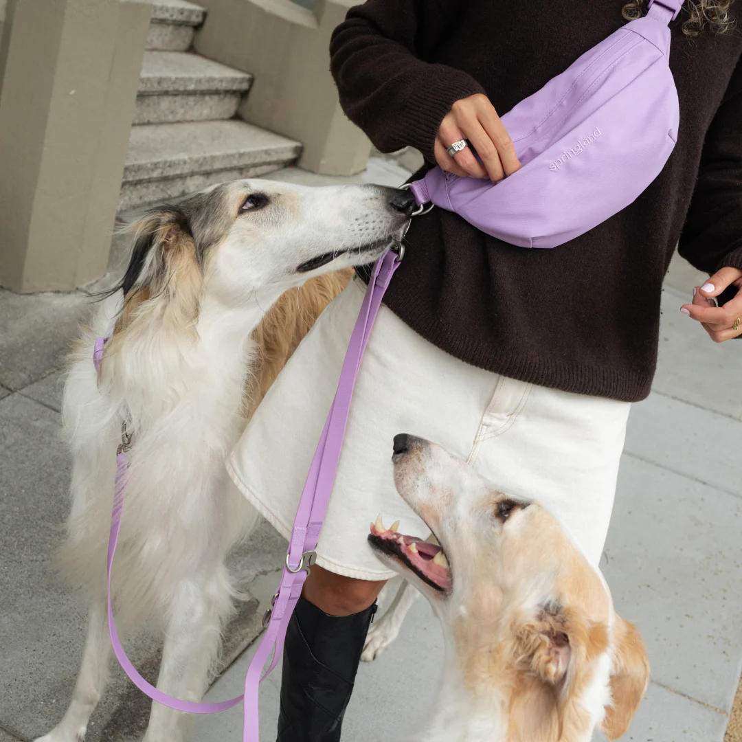 Hands-Free Dog Walking Bag with 3.25ft Leash - Image 19