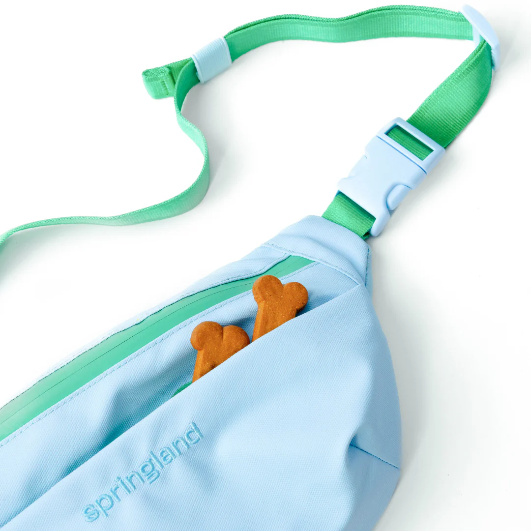 Hands-Free Dog Walking Bag with 3.25ft Leash - Image 7