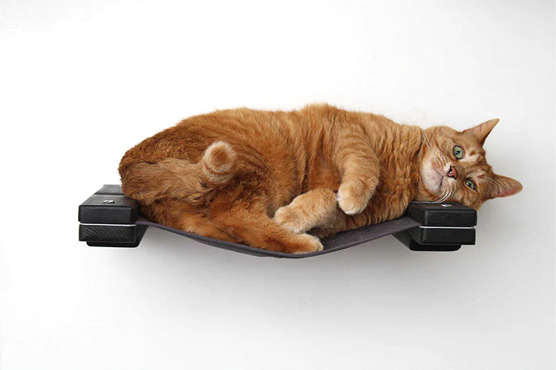 Catastrophic Creations Hanging Cat Bed Hammock - Image 14