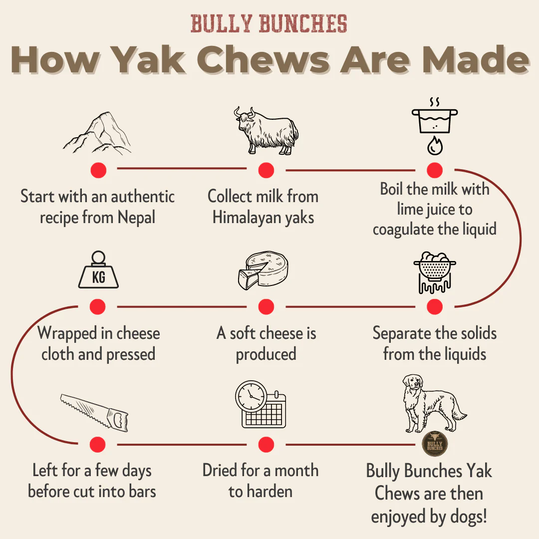 Bully Bunches Himalayan Yak Chew (EXTRA LARGE) - Image 9