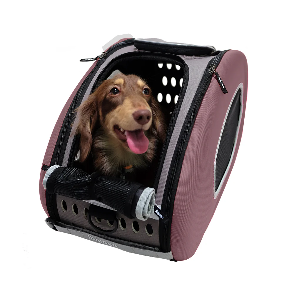Ibiyaya 5-in-1 EVA Pet Carrier-Stroller, Dog-Cat Sling Bag, Small Backpack with Wheels, Car Seat Booster Combo - Image 7