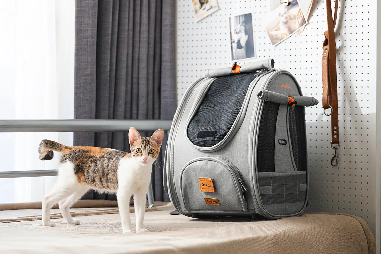 Ibiyaya Adventure Cat/Bunny/Puppy Carrier Backpack with Window, Large Airline Approved Cat Bag for Hiking & Travel. Best for both Kitten & Fat Cat - Image 10