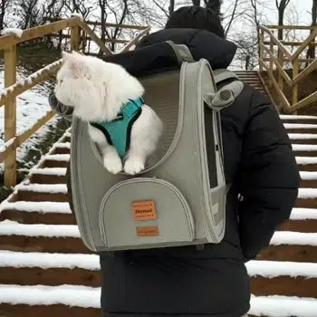 Ibiyaya Adventure Cat/Bunny/Puppy Carrier Backpack with Window, Large Airline Approved Cat Bag for Hiking & Travel. Best for both Kitten & Fat Cat - Image 12