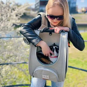Ibiyaya Adventure Cat/Bunny/Puppy Carrier Backpack with Window, Large Airline Approved Cat Bag for Hiking & Travel. Best for both Kitten & Fat Cat - Image 13