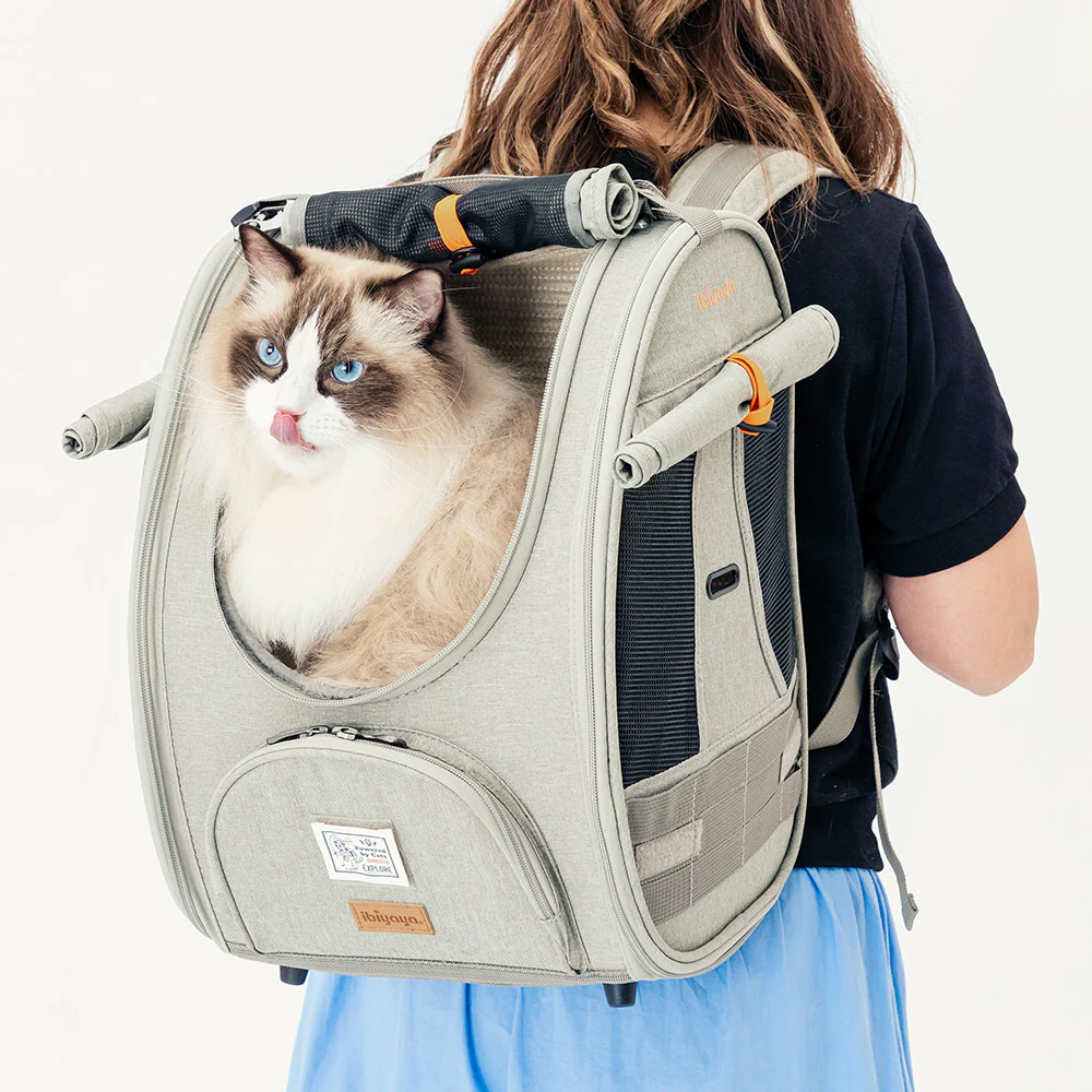 Ibiyaya Adventure Cat/Bunny/Puppy Carrier Backpack with Window, Large Airline Approved Cat Bag for Hiking & Travel. Best for both Kitten & Fat Cat - Image 24