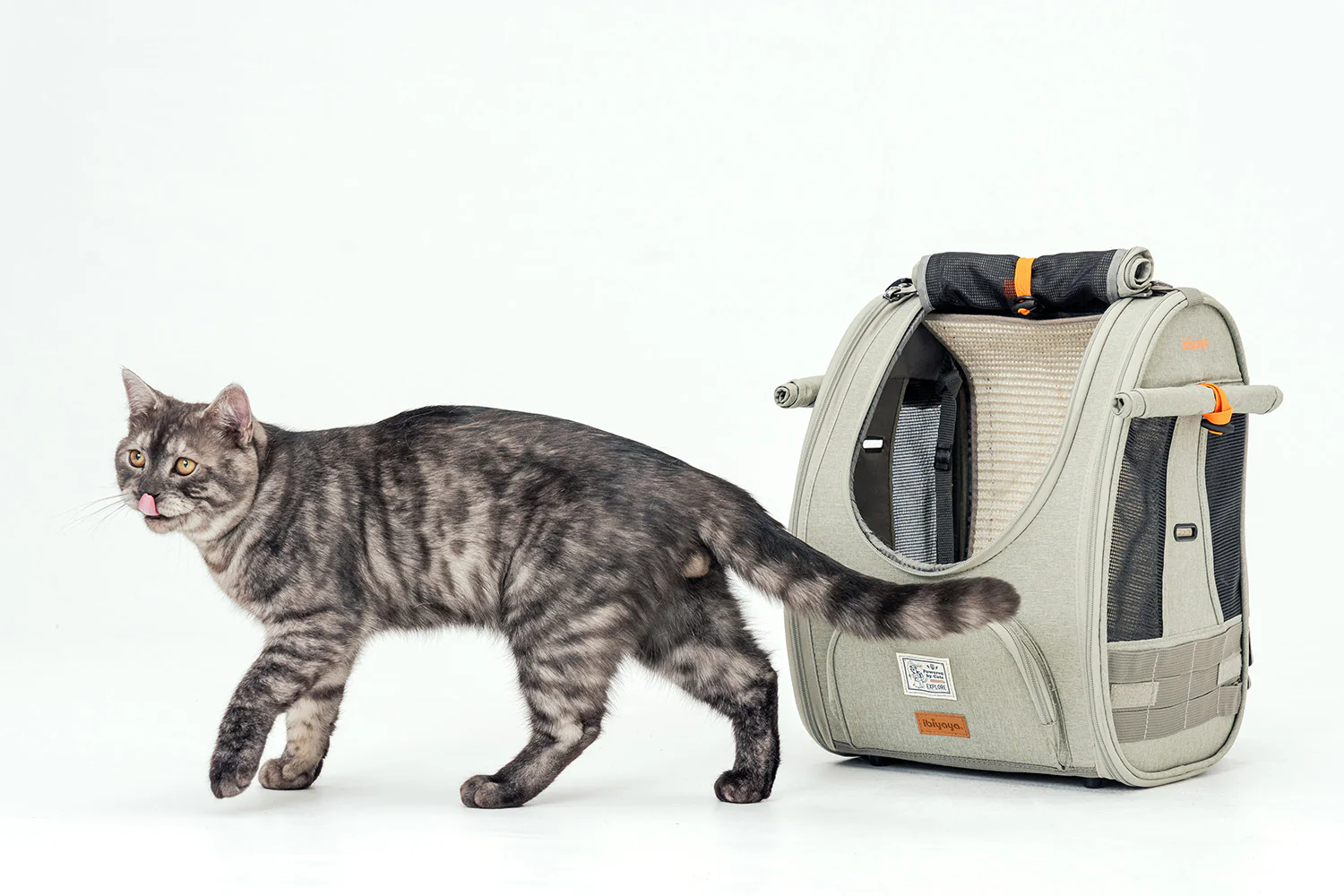 Ibiyaya Adventure Cat/Bunny/Puppy Carrier Backpack with Window, Large Airline Approved Cat Bag for Hiking & Travel. Best for both Kitten & Fat Cat - Image 25