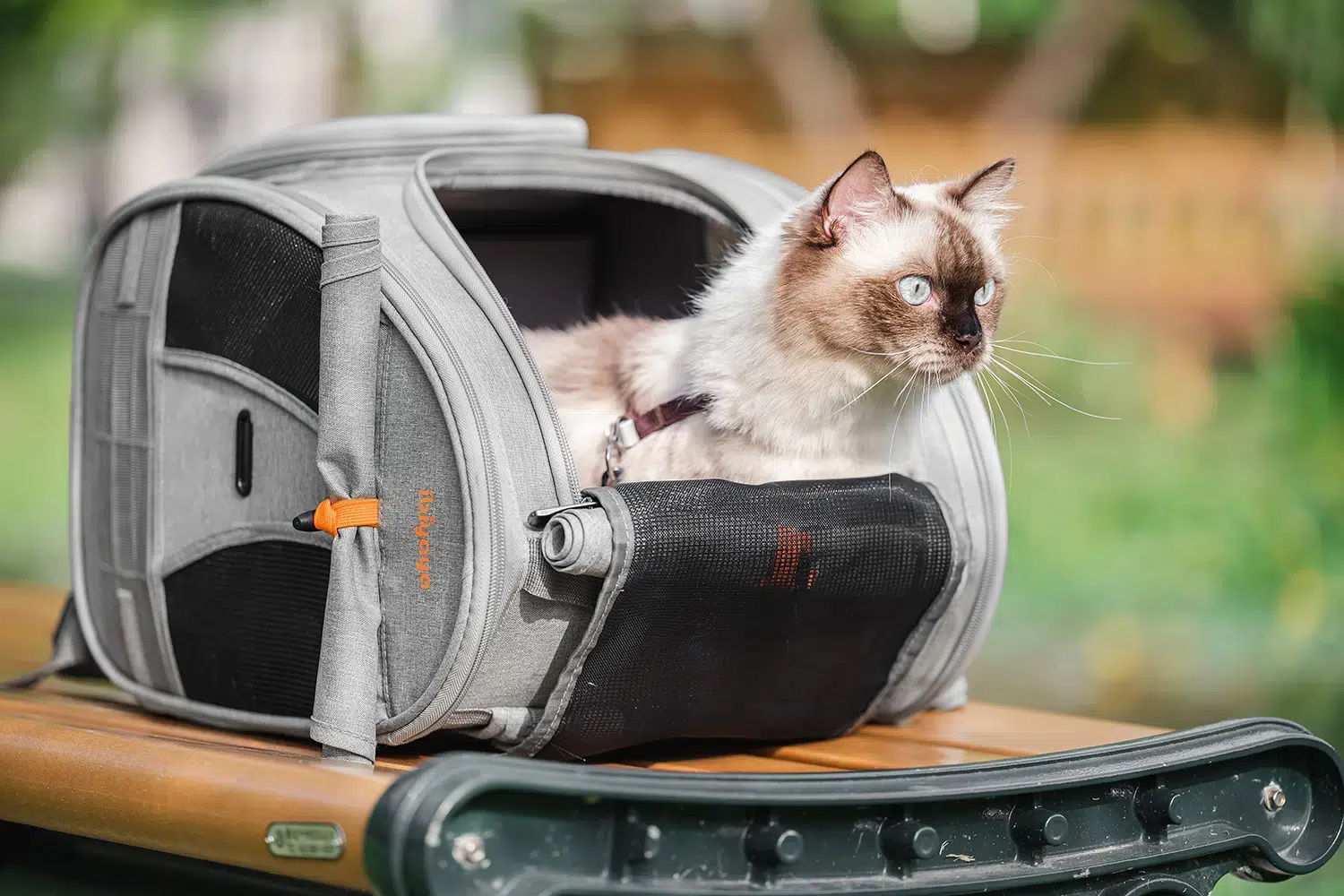 Ibiyaya Adventure Cat/Bunny/Puppy Carrier Backpack with Window, Large Airline Approved Cat Bag for Hiking & Travel. Best for both Kitten & Fat Cat - Image 9